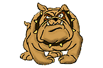 bulldog 
