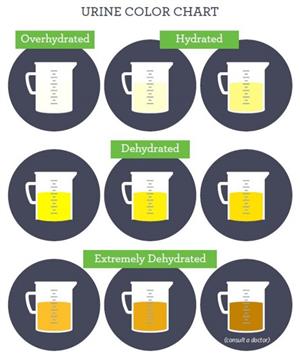 How Hydrated are you? 