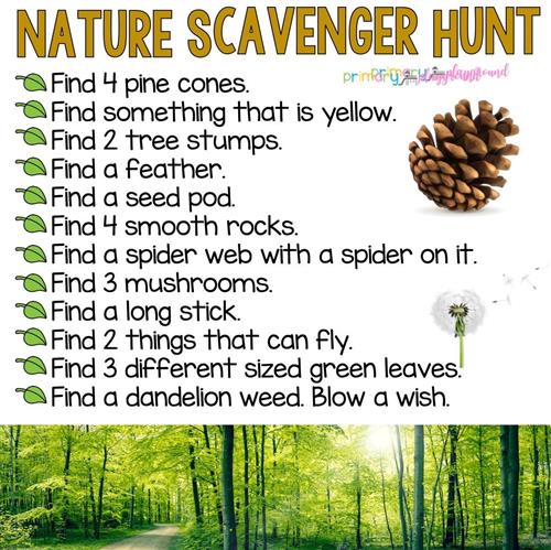 Nature 